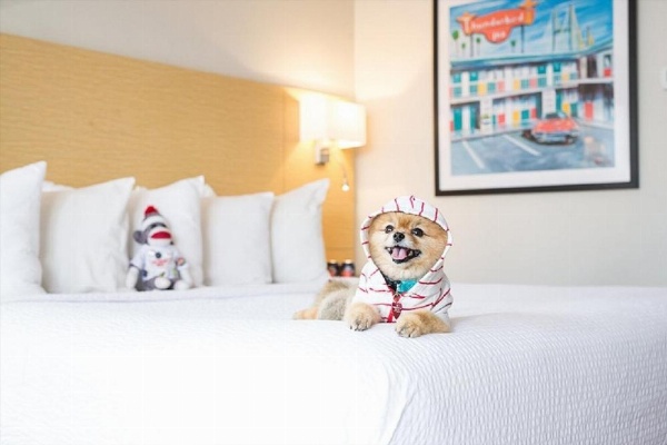 The Thunderbird Inn image 7